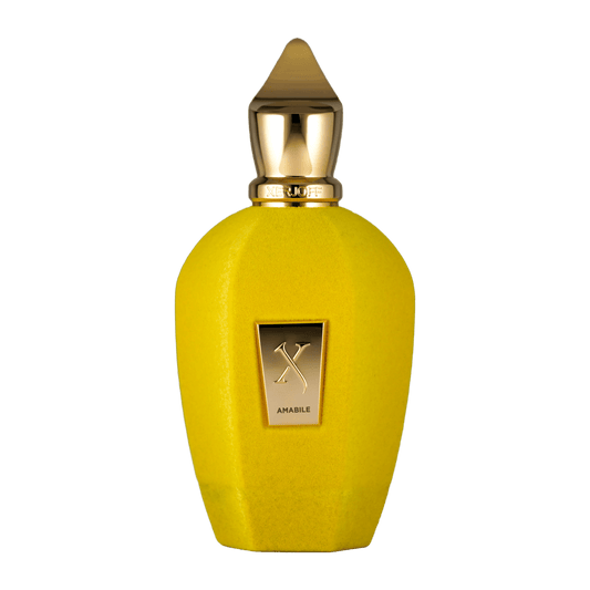 Bild von dem Flakon des Duftes Amabile aus der V Kollektion von Xerjoff angeboten zum kaufen als Parfümprobe.